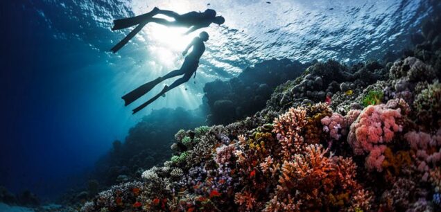 Red Sea and Sinai  (Hurghada – Sharm – Marsa Alam )