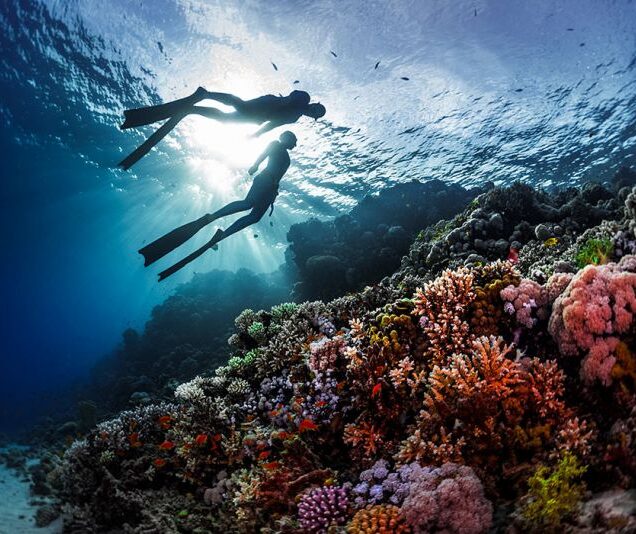 Red Sea and Sinai  (Hurghada – Sharm – Marsa Alam )