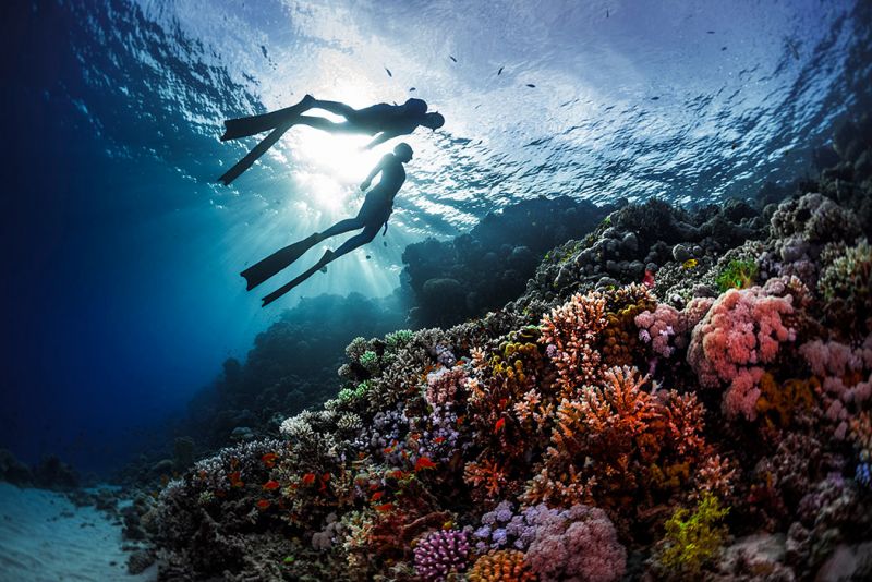 Sharm El Sheikh (14)