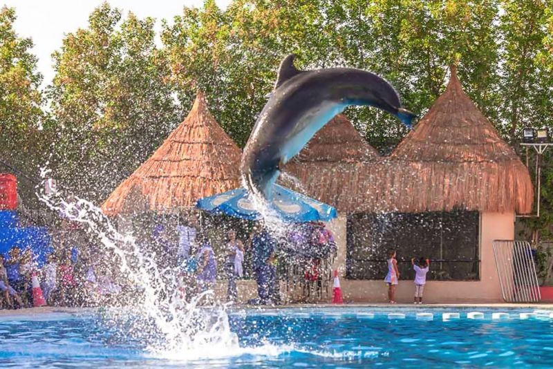 Sharm El Sheikh (5)