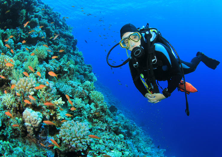 sharm-diving
